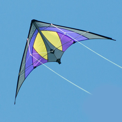 SHURIKEN Purple Rain MUSTHAVE
