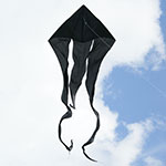 F-tail Custom Single Black