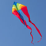 F-tail Dart Rainbow