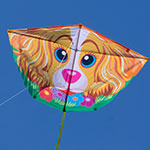 Fun flyer dog