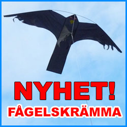 Rovf &aring;gelskr�mman Blacky Hawk
