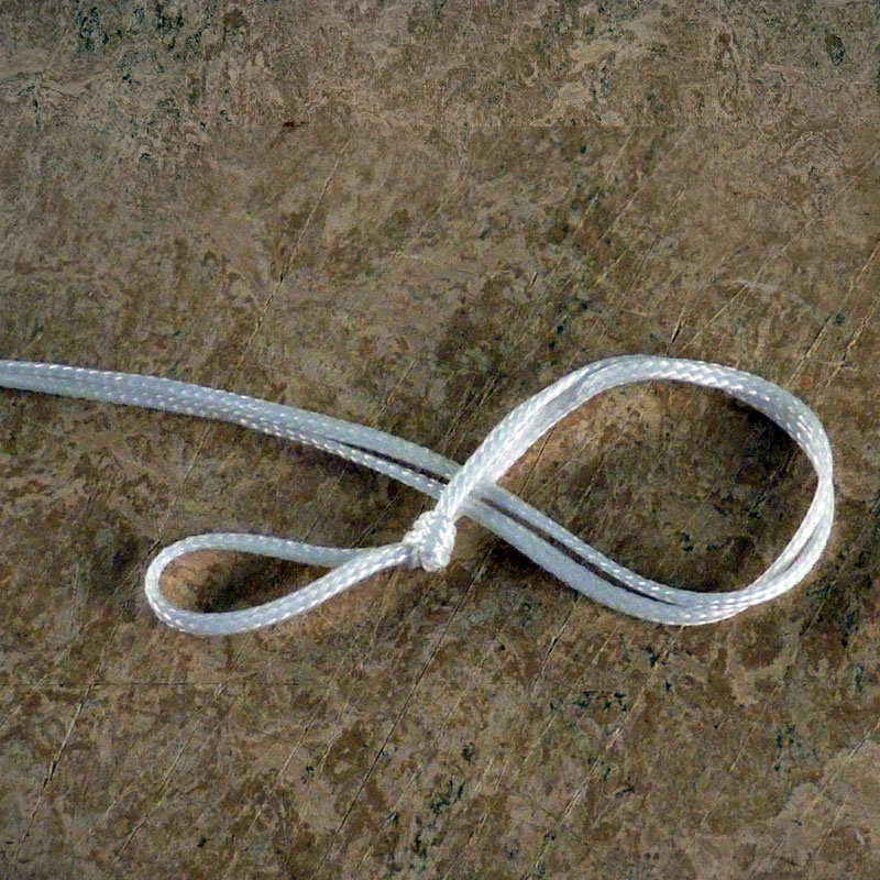 F�gelskr�mma  Blacky Hawk linknut